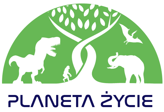 ecbhn silhouettes logo